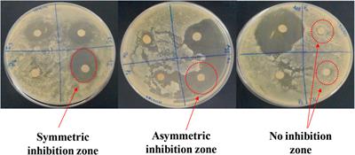 Evaluating the Toxicity of Ionic Liquids on Shewanella sp. for Designing Sustainable Bioprocesses